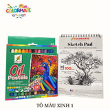  Combo TÔ MÀU XINH 1 