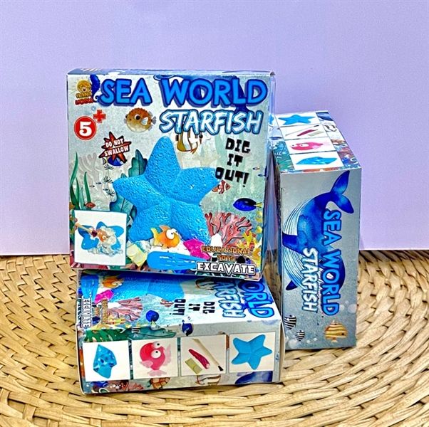  SAO BIỂN (Starfish) 