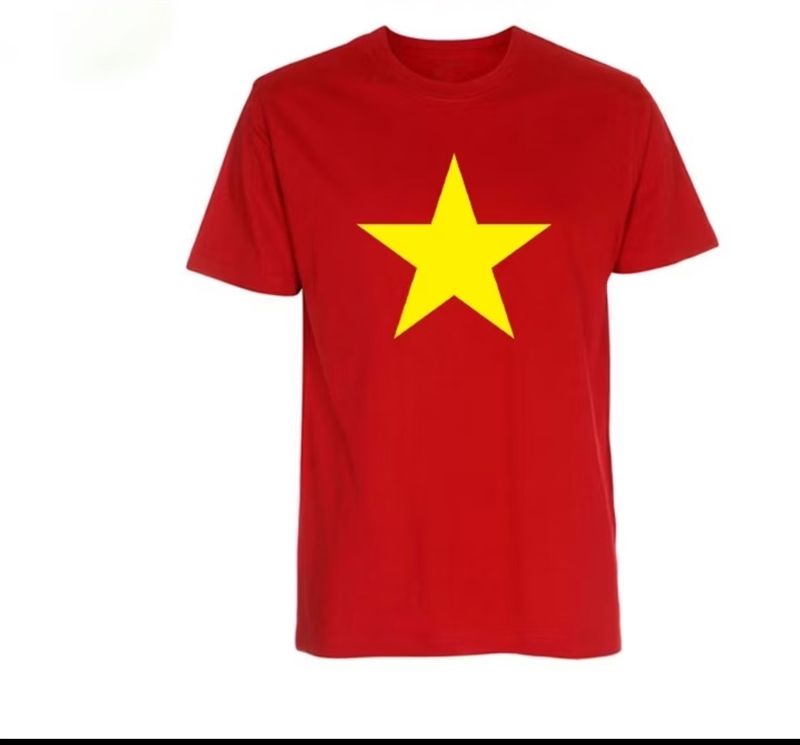 Áo Việt Nam người lớn 