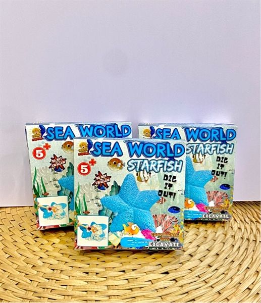  SAO BIỂN (Starfish) 