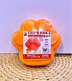  ĐỒ CHƠI KHẢO CỔ MÈO HAPPY 