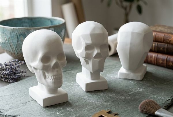  Mẫu vật khối H- đầu người 