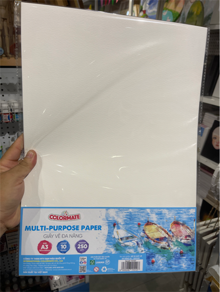 Giấy vẽ đa năng A3 - 250gsm 