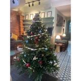  Cây thông trang trí PE xanh cao cấp 1.5m-OT6 