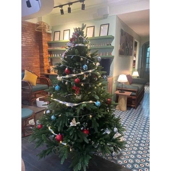  Cây thông trang trí PE xanh cao cấp 1.5m-OT6 