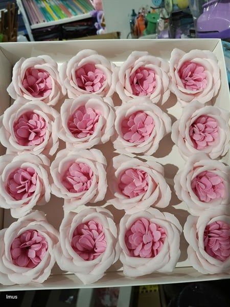  Hoa sáp mẫu đơn 