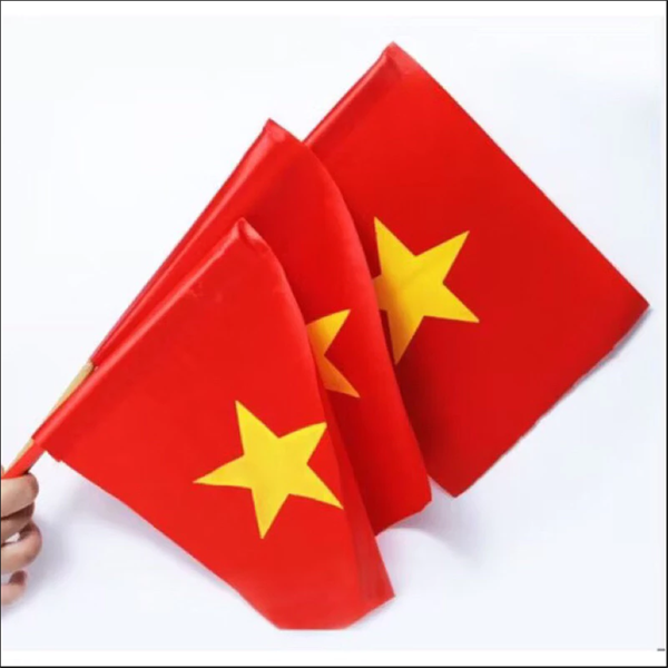  Cờ Vẫy Việt Nam, 2 Mặt 