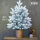  Cây thông Noel phủ tuyết 60cm chậu tròn 