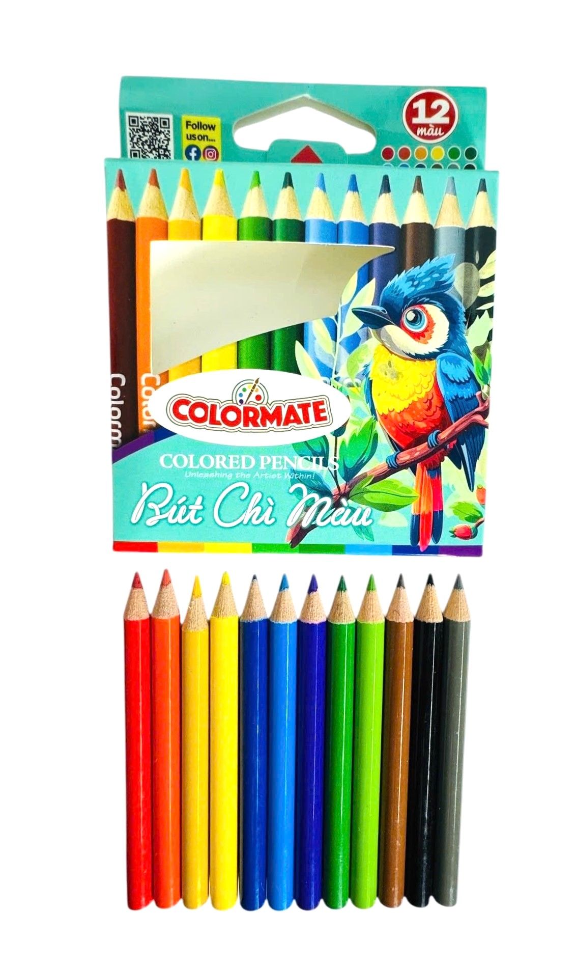  Hộp giấy 12 cây chì màu ngắn 