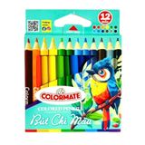  Hộp giấy 12 cây chì màu ngắn 