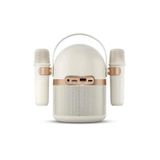 Loa Bluetooth PHILIPS TAS2508WT/70 Chính Hãng, Loa Karaoke, Kèm 2 Micro, Hỗ Trợ Thẻ Nhớ, Pin Khủng
