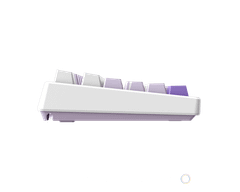 Bàn phím MSI FORGE TKL Wireless Frieren Edition