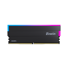 Ram Biwin Black Opal DW100 16GB (16 GB x 1) RGB 6000 CL28 Expo / XMP