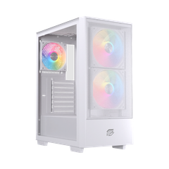CASE EINAREX P100 RGB