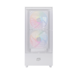 CASE EINAREX P100 RGB