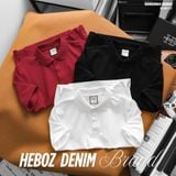  Áo polo nam Heboz giấu cúc 3M - 00002903 