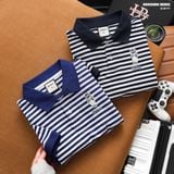  Áo polo nam Heboz striped bear 2M - 00002966 