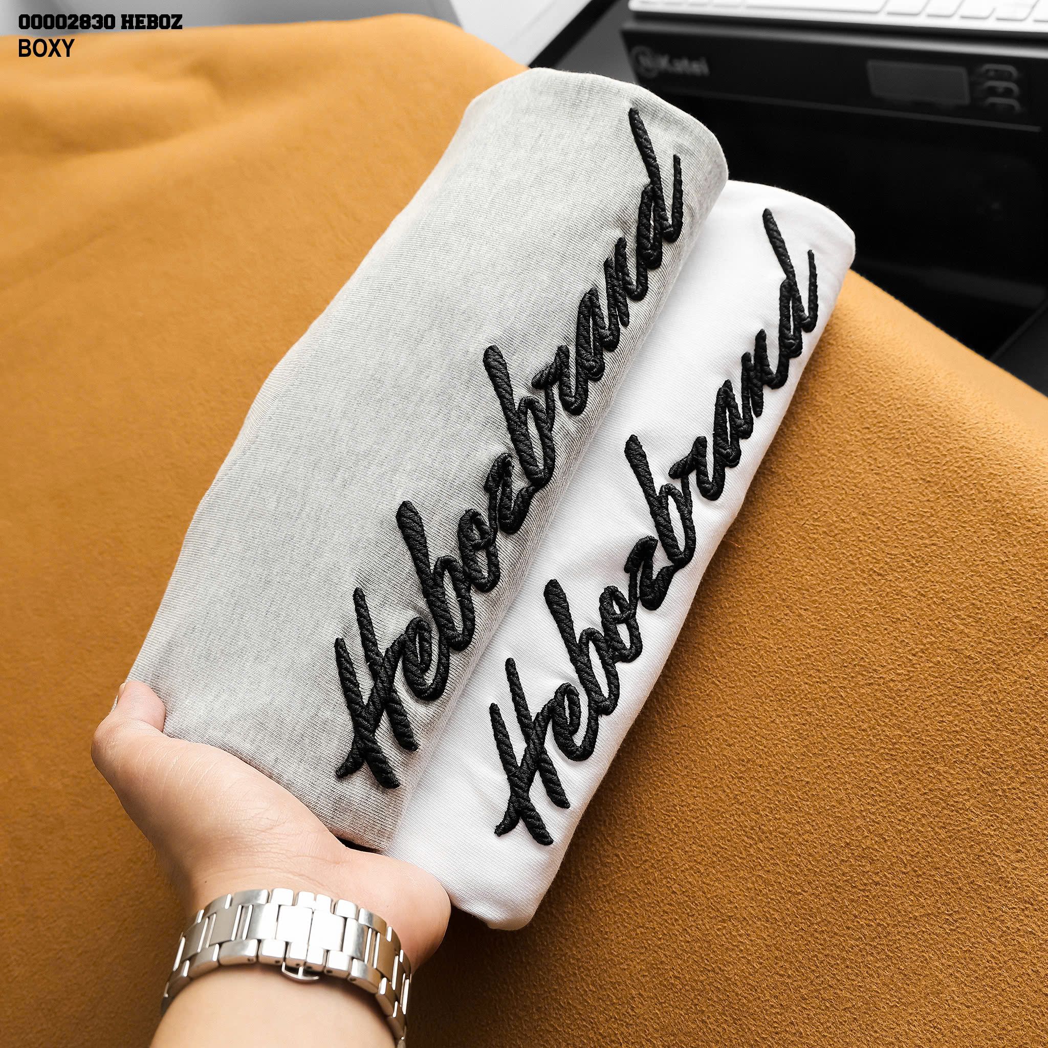  Áo thun nam Heboz brand boxy 2M - 00002830 