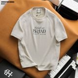  Áo thun nam Heboz pique boxy 2M - 00002739 