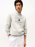  Sweatshirt Tmy dành cho Nam. Chất vải nỉ bông, form áo thoải mái. 