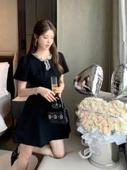TQ1818 - ĐẦM NGẮN CỔ ĐÍNH ĐÁ NHỎ (ĐEN)