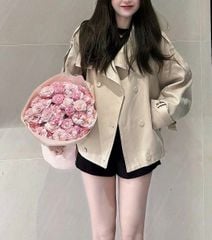 KS1495 - ÁO MĂNG TÔ FORM NGẮN CỔ CAO (NÂU)