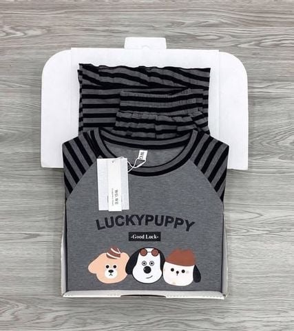 KS1680 - SET BỘ CÚN LUCKY PUPPY VIỀN BÈO (XÁM SỌC ĐEN)