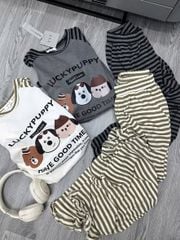 KS1680 - SET BỘ CÚN LUCKY PUPPY VIỀN BÈO (XÁM SỌC ĐEN)