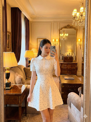 AHA029 Đầm chấm bi cổ bèo