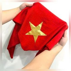 VGU1056 - SET ÁO THUN TRẮNG - CHÂN VÁY XẾP LY NGẮN ( KÈM KHĂN CỜ ĐỎ SAO VÀNG)