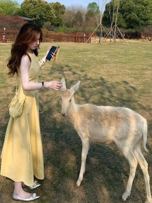 TB8715 ĐẦM VÀNG SÁT NÁCH + TÚI