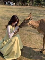 TB8715 ĐẦM VÀNG SÁT NÁCH + TÚI