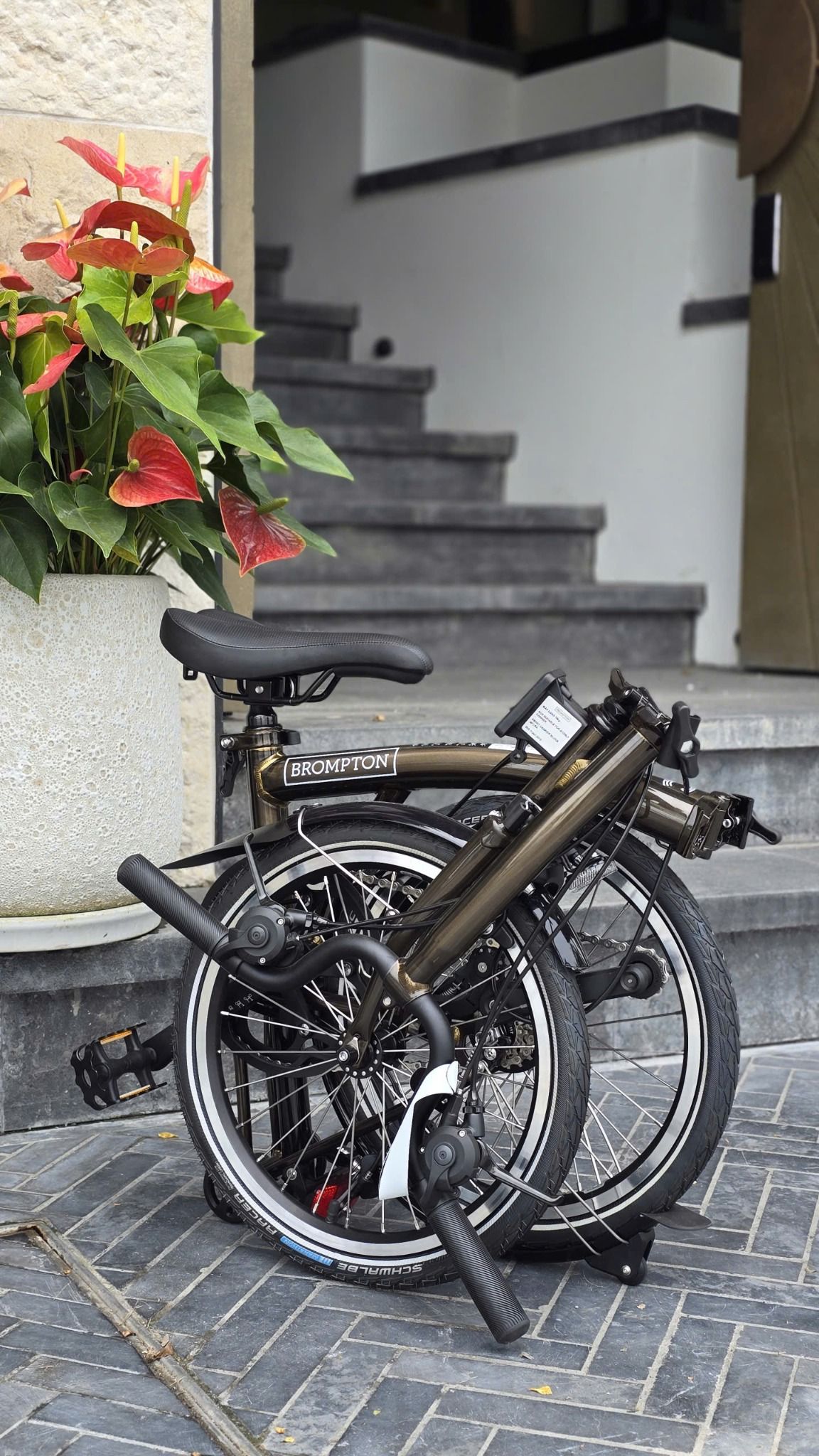  Brompton Lacquer 2025/ 12 speed 
