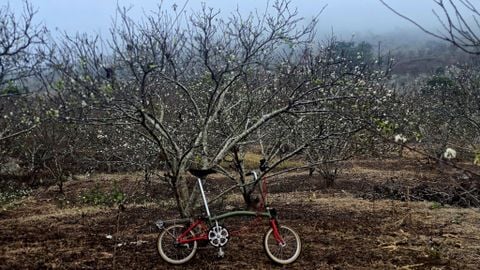 Brompton C line 2015/3speed