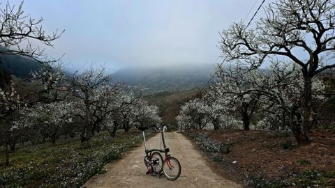 Brompton C line 2015/3speed