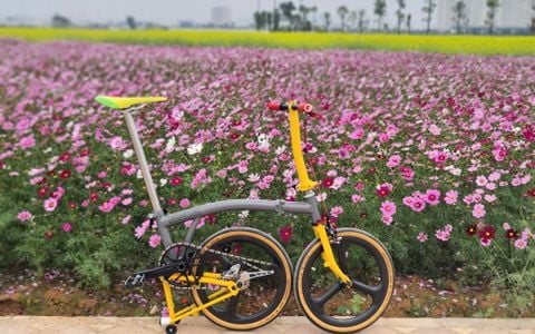 Brompton limited P line