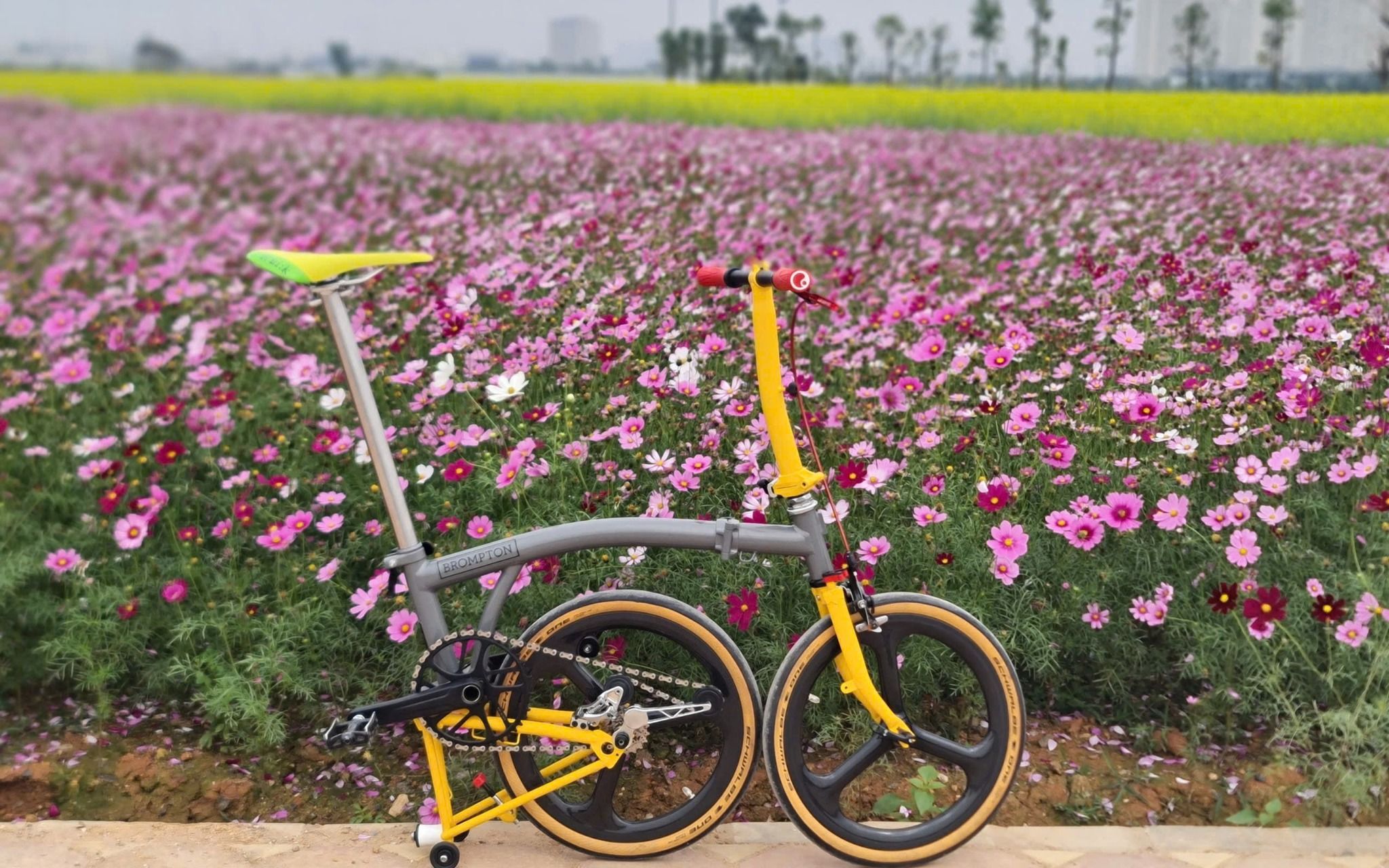  Brompton limited P line 