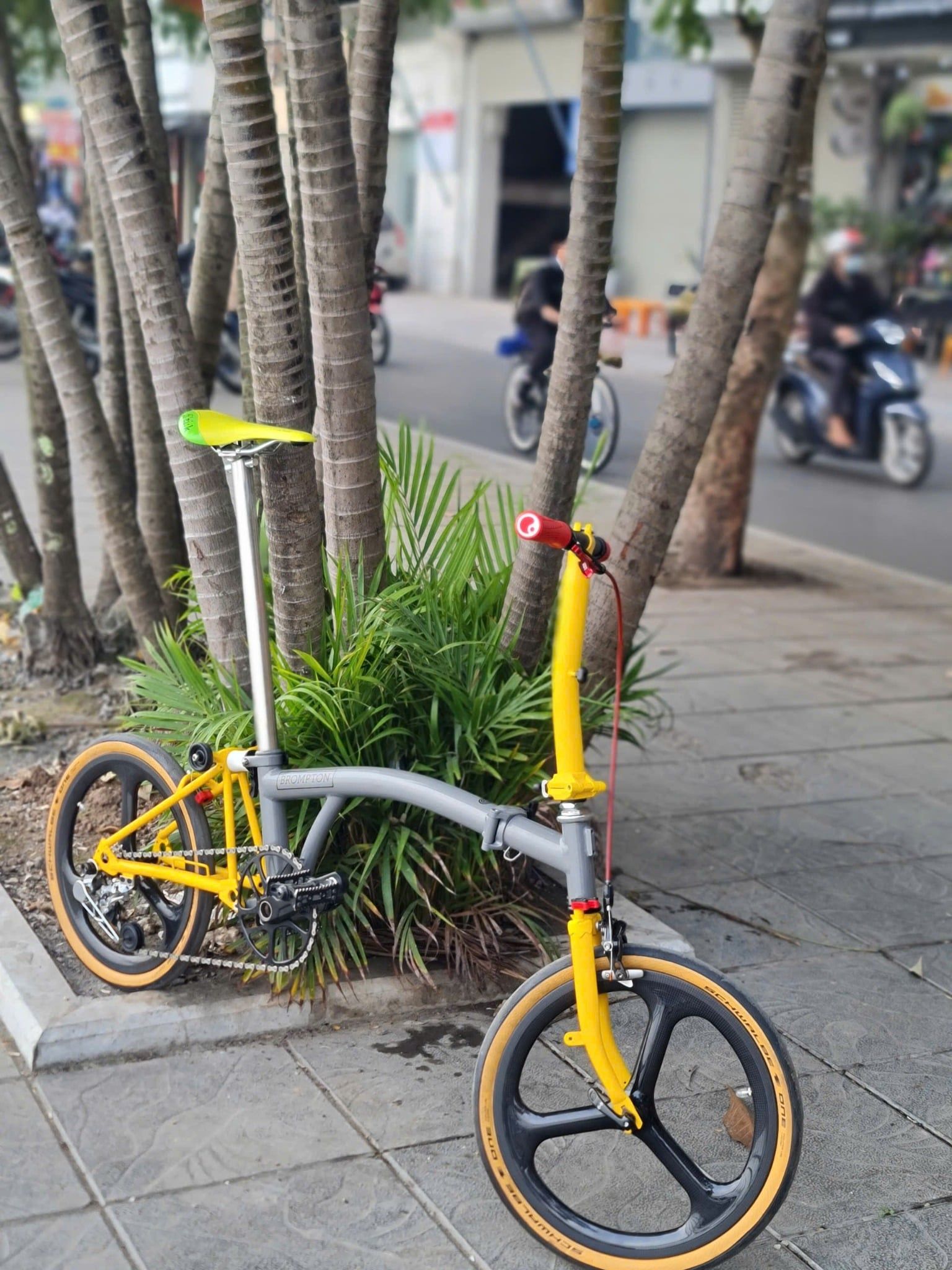  Brompton limited P line 