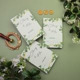  Xuân Xanh Dịu Êm – Spring Harmony ∞ TD-C0020 