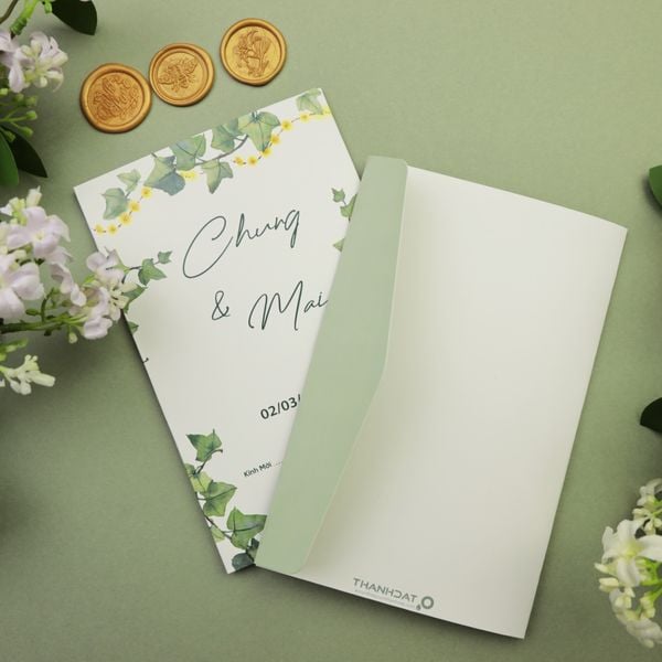  Xuân Xanh Dịu Êm – Spring Harmony ∞ TD-C0020 