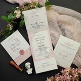  Hoa Nở Ngày Yêu – Blossoming Day ∞ TD-C0014 