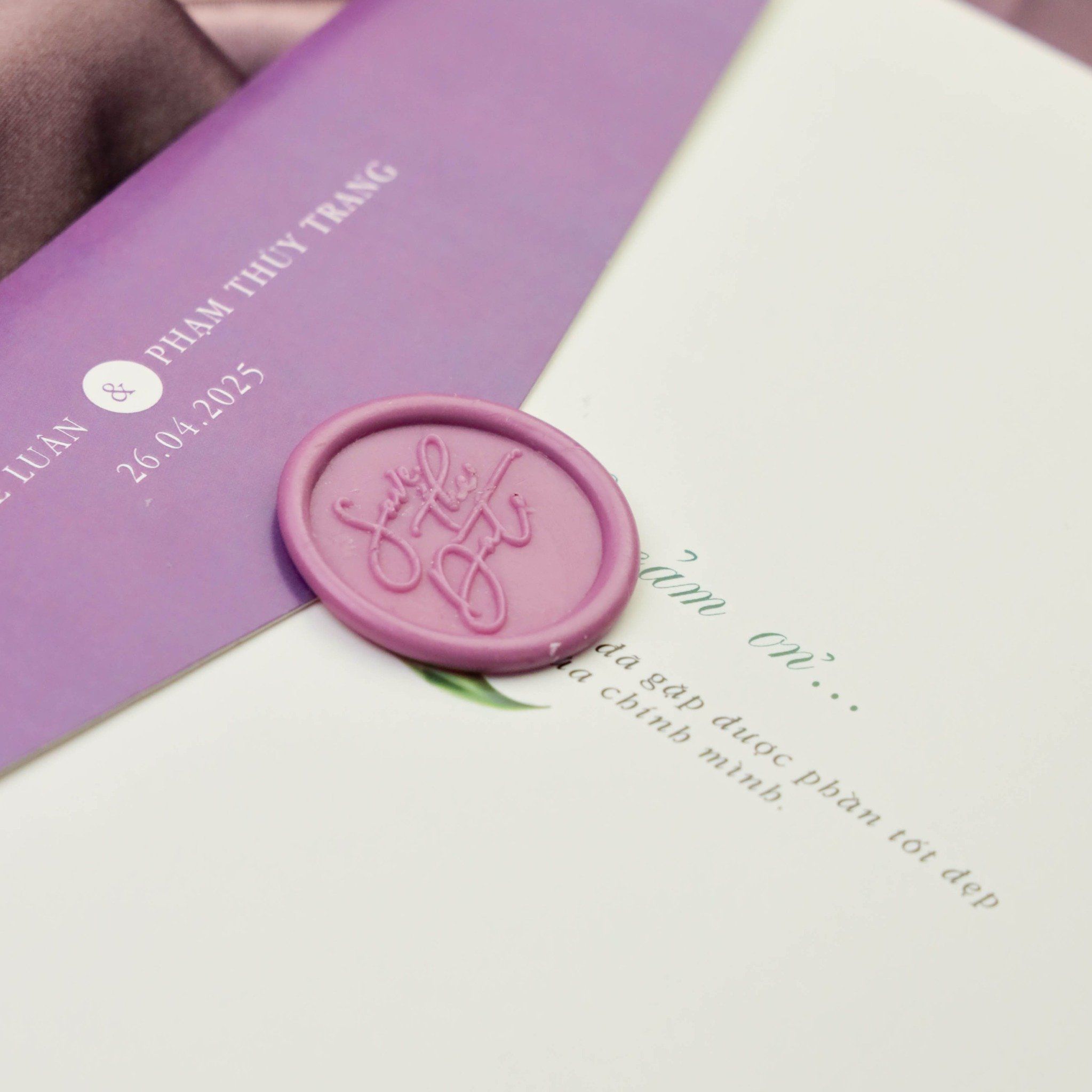  Sắc Tím Tình Yêu – Purple Serenity ∞ TD-C0013 