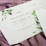  Sắc Tím Tình Yêu – Purple Serenity ∞ TD-C0013 
