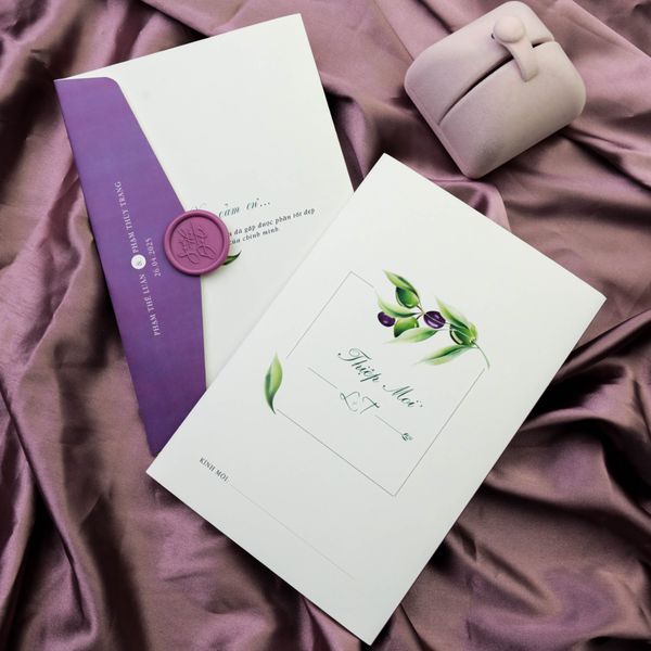  Sắc Tím Tình Yêu – Purple Serenity ∞ TD-C0013 