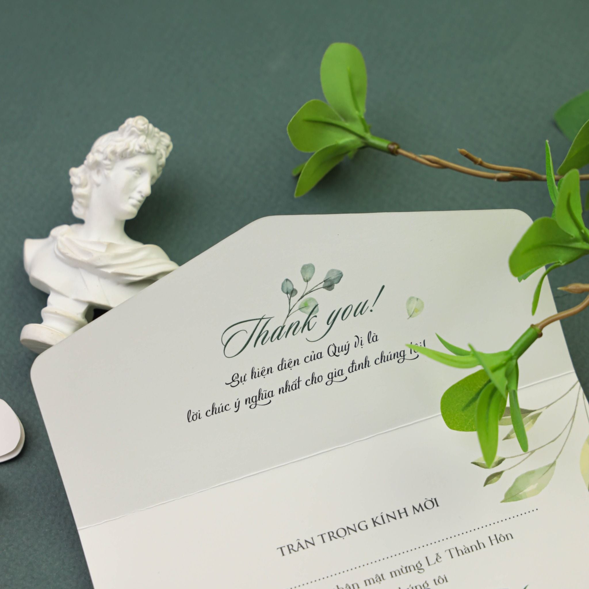  Sắc Xanh Ngày Cưới – Wedding Green ∞ TD-G002 