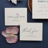  Thanh Lịch Navy – Navy Elegance ∞ TD-H013.1 