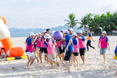 Du Lịch 2026 - Kết Nối Vươn Xa