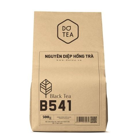  NGUYÊN DIỆP HỒNG TRÀ DOTEA (B541) 