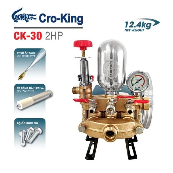 Đầu bơm ty sứ Cro-king CK-30 (2HP)