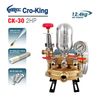 Đầu bơm ty sứ Cro-king CK-30 (2HP)